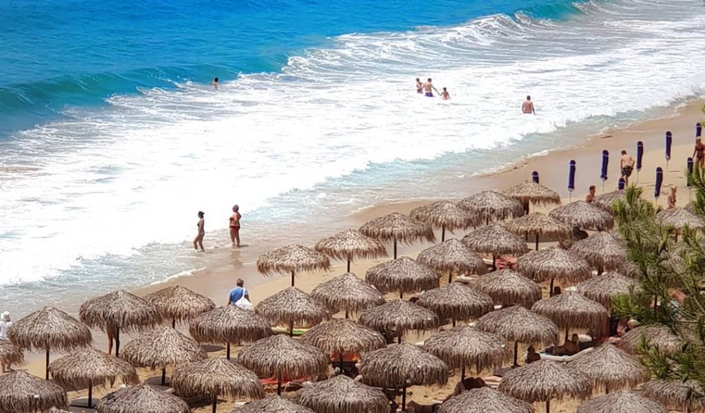 mimozas69-post-2018_06_17_17_18